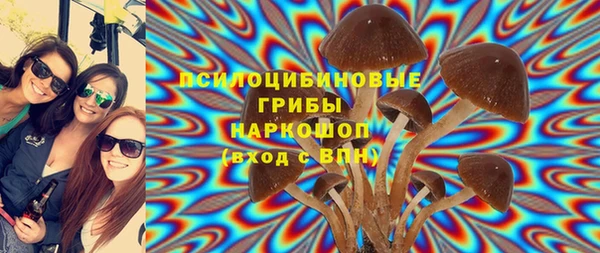 соль ск Касимов