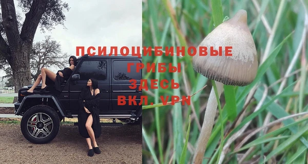 COCAINE Каменск-Шахтинский
