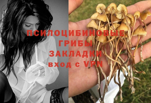 соль ск Касимов