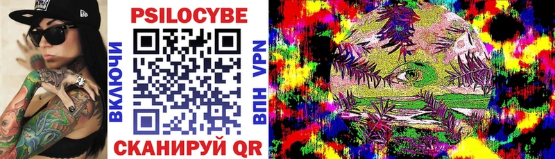 Купить  Исилькуль  Галлюциногенные грибы прущие грибы 
